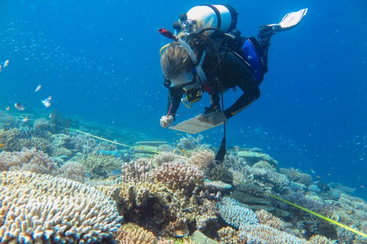 Addio alle barriere coralline dell'Atlantico occidentale? 2
