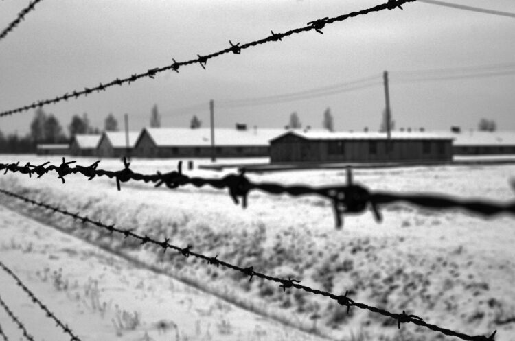 Il Giorno della Memoria: ricordare le vittime della Shoah 2