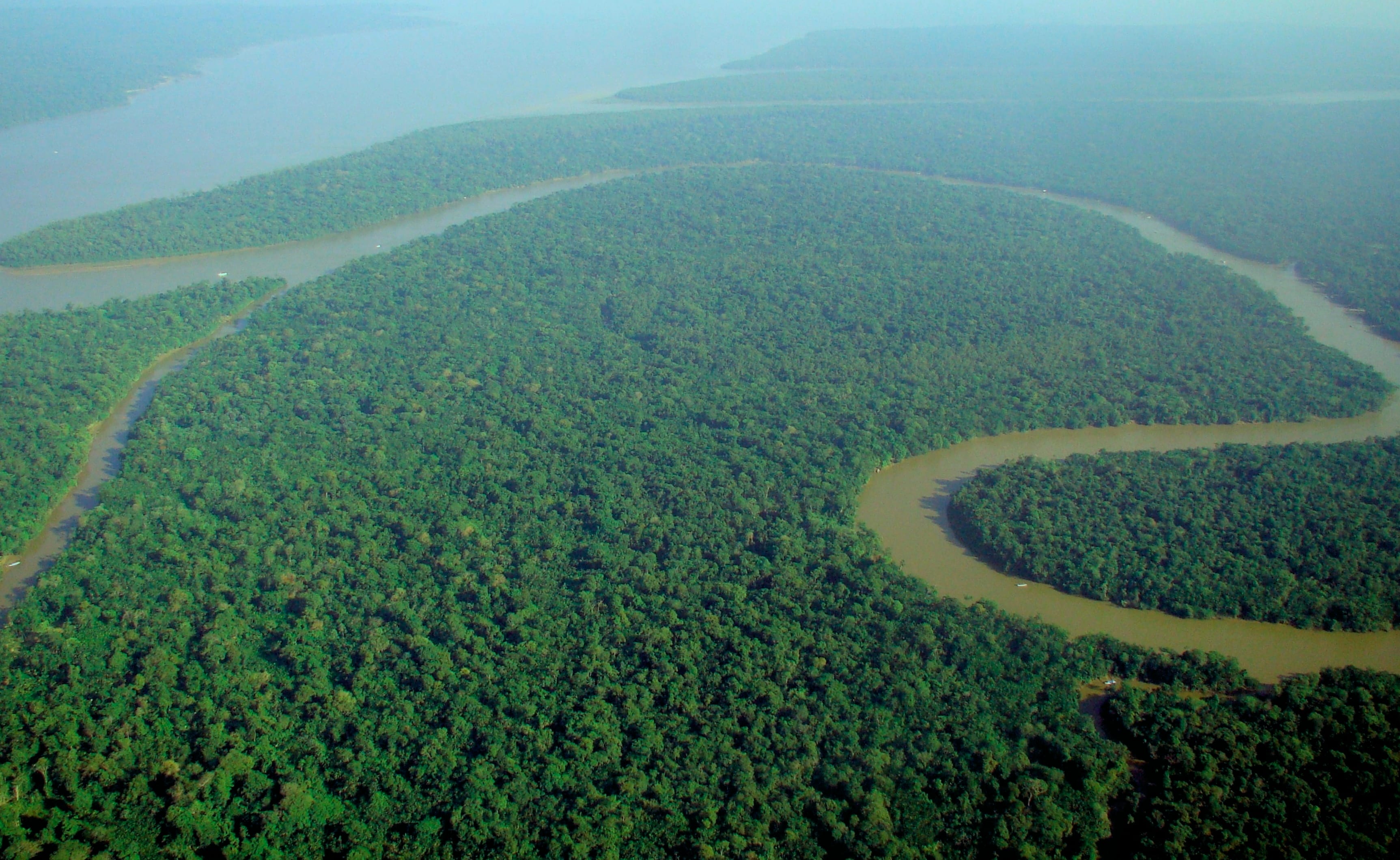 L'Amazzonia rischia di entrare in un futuro ipertropicale 2