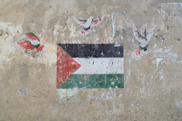 Mohammad Bakri, voce della cultura palestinese 2