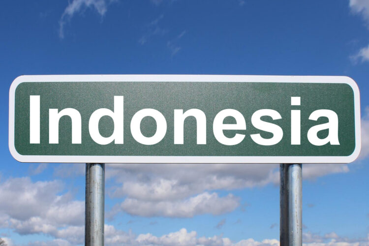 Scoperta una pittura rupestre in Indonesia, 67.800 anni fa 2