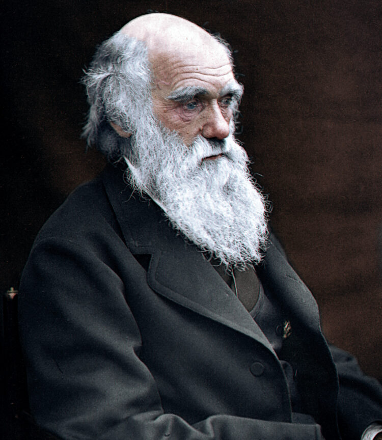 Oggi è il Darwin Day, celebriamo l'evoluzione 2