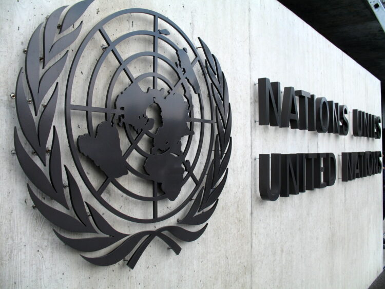Protezione delle minoranze: ONU denuncia leggi insufficienti 2