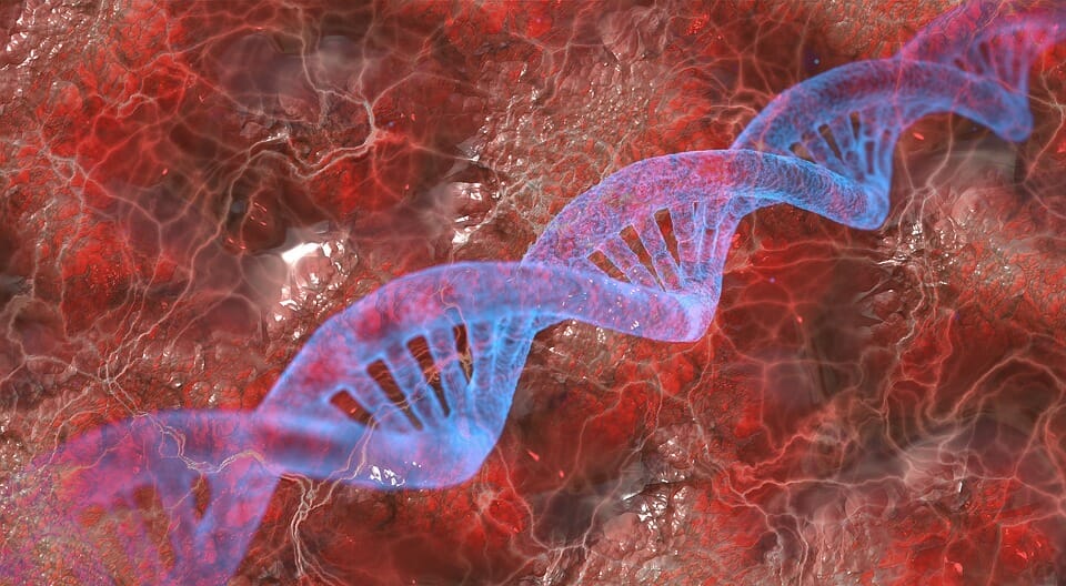 Struttura del DNA, il 28 febbraio 1953 la scoperta di Watson e Crick 2