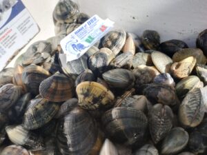 A Salerno Primi Casi Di Epatite A, I Consigli Dai Banchi Delle Pescherie 11