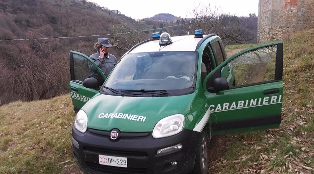 Abusivismo Edilizio, Ordinanza Di Demolizione Di Una Struttura Cementizia A Montecorice 3