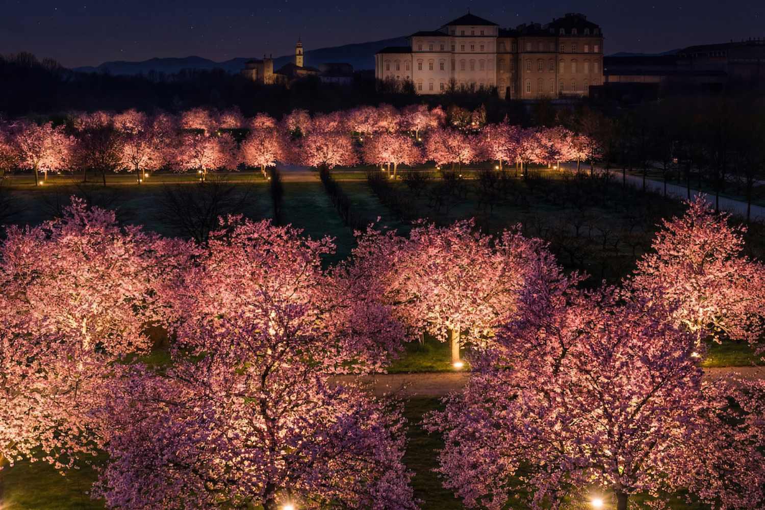 Assomiglia a Kyoto, ma si trova in Piemonte, a un'ora da Milano, il palazzo dove i ciliegi in fiore possono essere osservati anche di notte. 5
