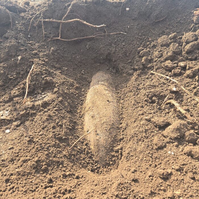 Bomba Eboli, Possibile Chiusura Autostrada Per Disinnesco 5