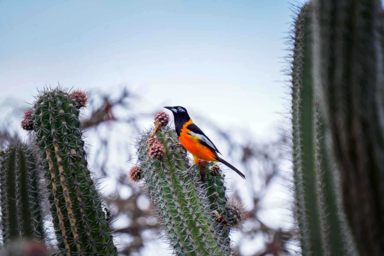 Con chi vorresti partire per Aruba? Identifica la "tua" persona su Instagram e vinci un viaggio nei Caraibi. #ShareTheLove 23