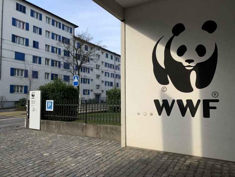 Crimini ambientali, traffico illegale di specie animali 2