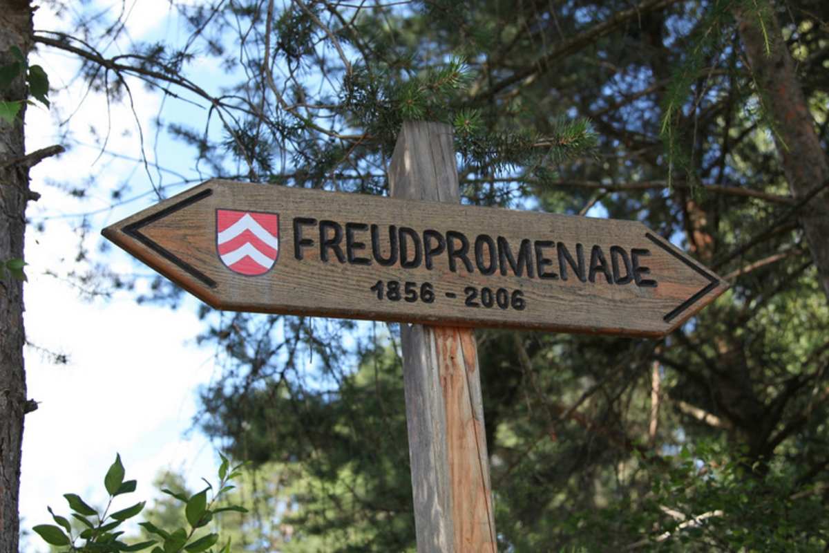 Dove fare passeggiate nei dintorni di Bolzano durante il periodo del foliage: 8 itinerari da esplorare ora sul Renon. 13