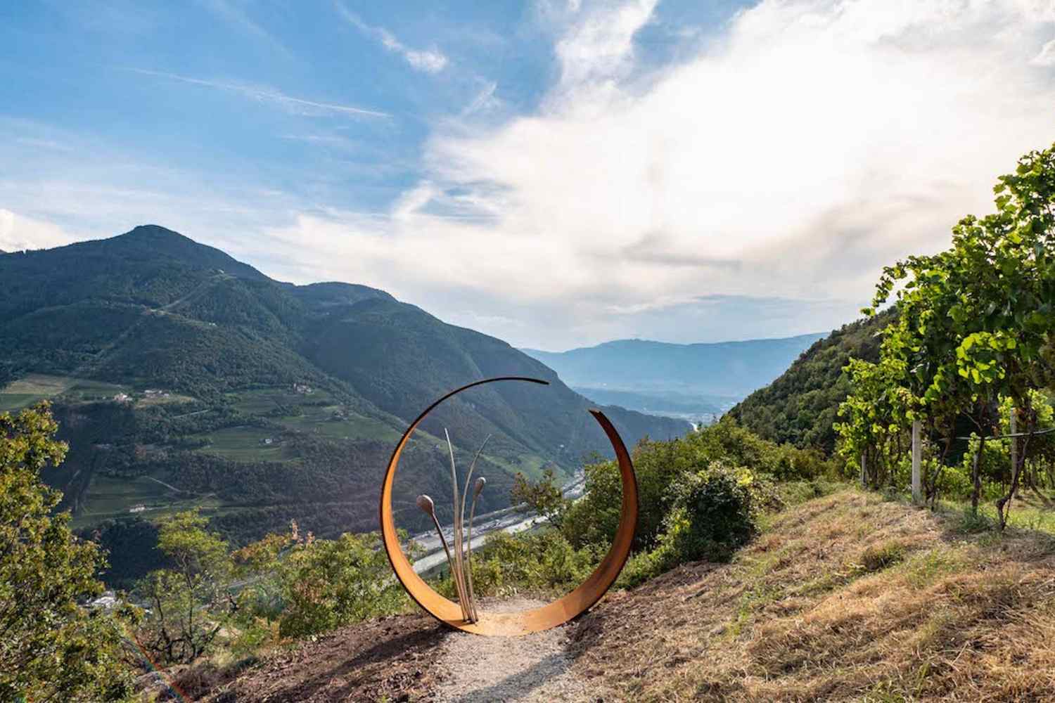 Dove fare passeggiate nei dintorni di Bolzano durante il periodo del foliage: 8 itinerari da esplorare ora sul Renon. 19