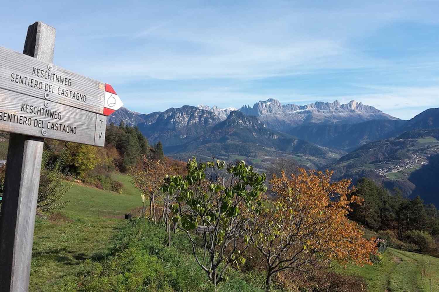 Dove fare passeggiate nei dintorni di Bolzano durante il periodo del foliage: 8 itinerari da esplorare ora sul Renon. 15