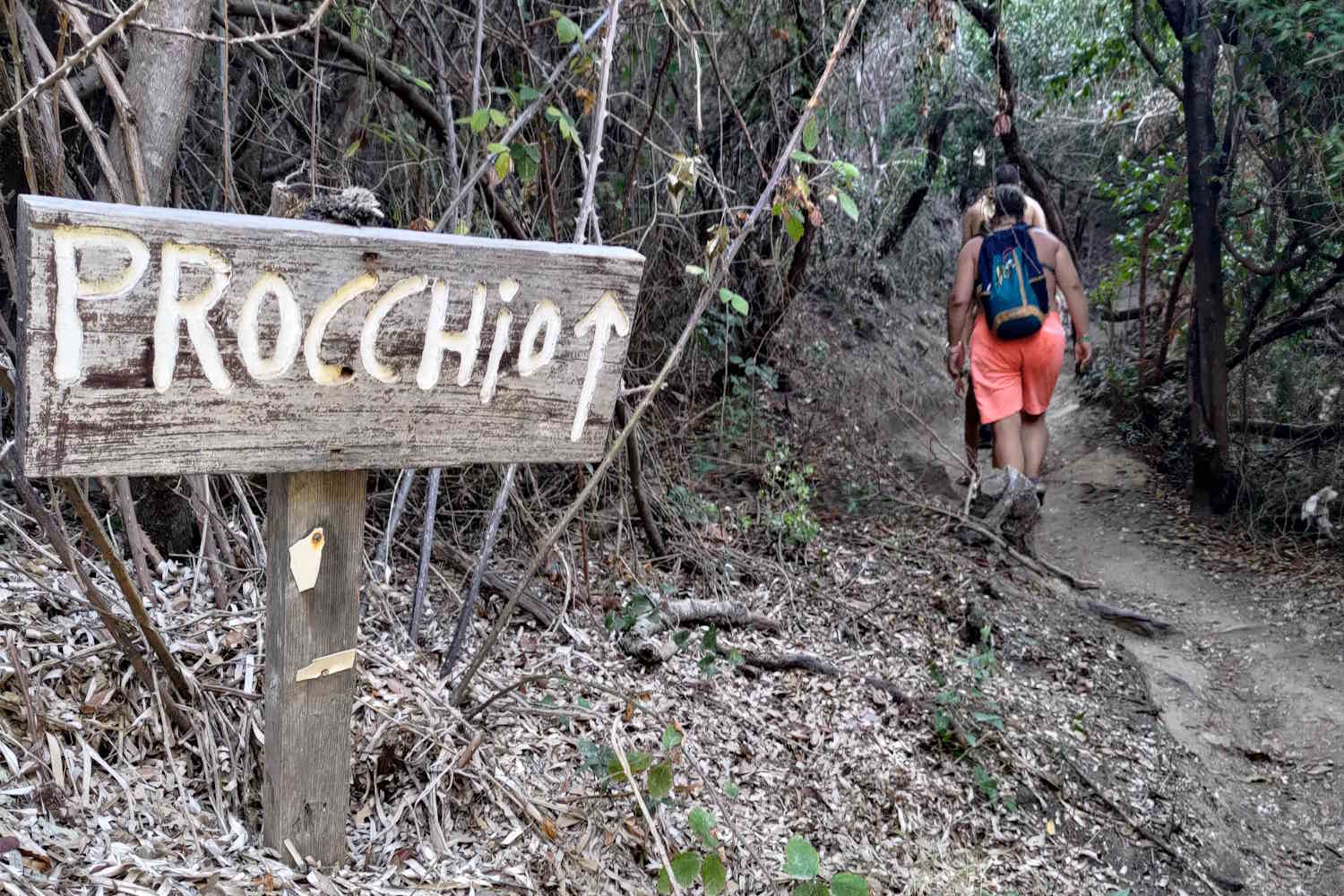 Elba, oltre al mare e alle spiagge: tutte le escursioni da intraprendere quando l'isola è meno affollata. 7
