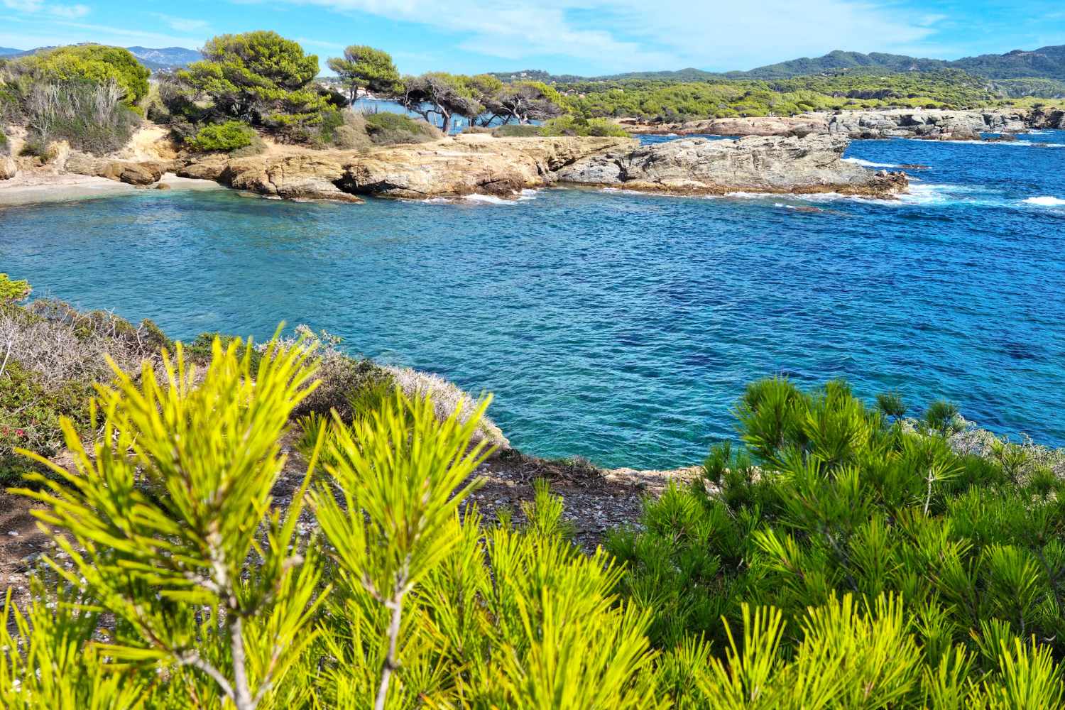 Embiez, l'isola provenzale priva di automobili, offre numerose calette e vigneti inaspettati. 3
