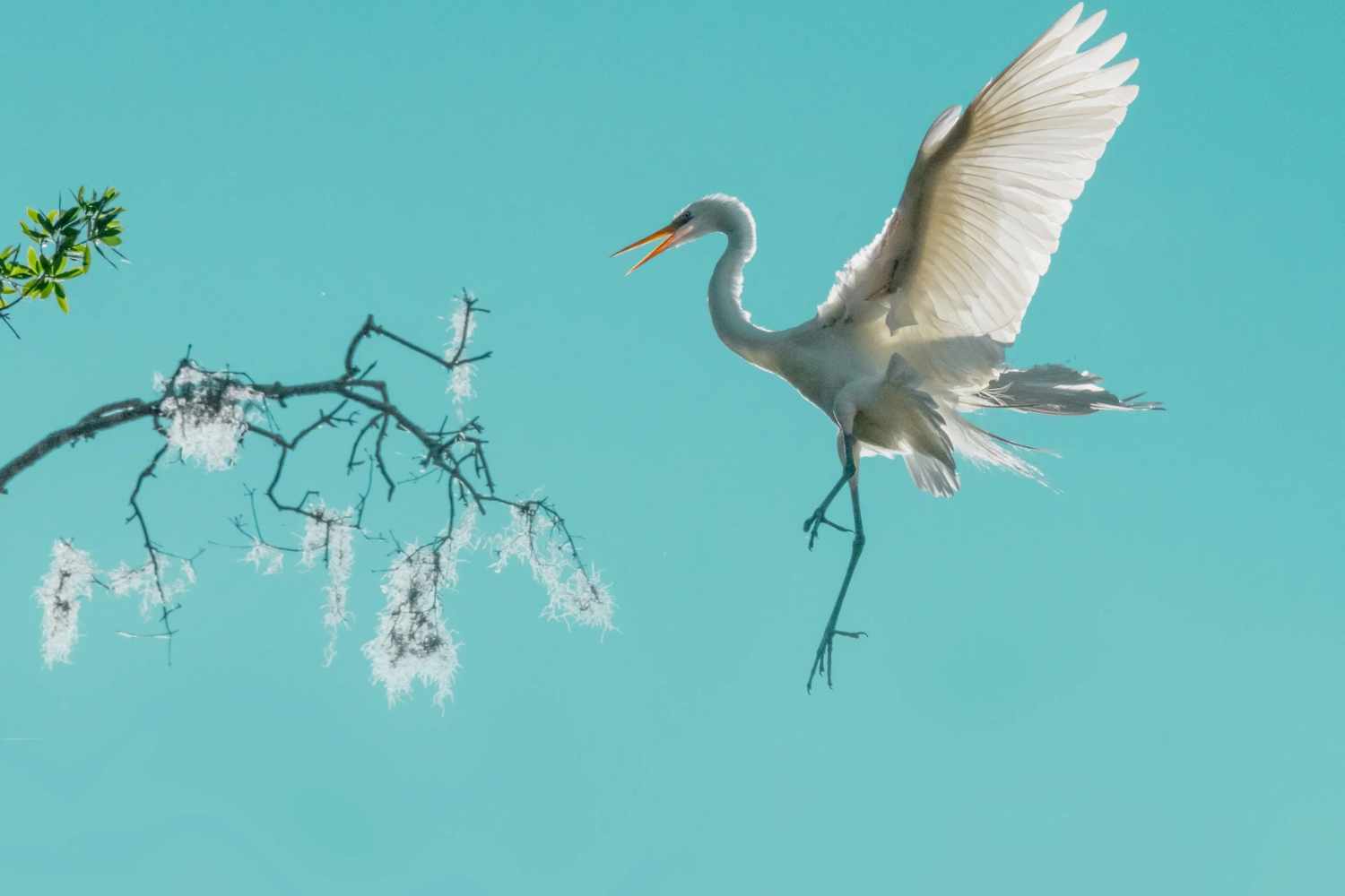 Fotografo della Natura dell'Anno 2026: tutte le immagini premiate, quale ti piace di più? 27
