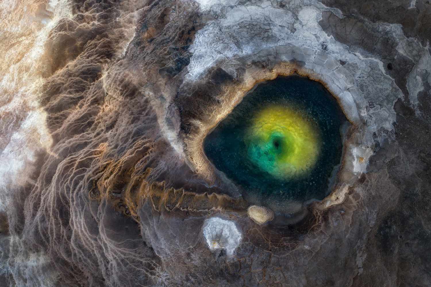 Fotografo della Natura dell'Anno 2026: tutte le immagini premiate, quale ti piace di più? 35
