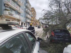 Lungomare Colombo, Albero Si Spezza E Cade Su Un’auto 9