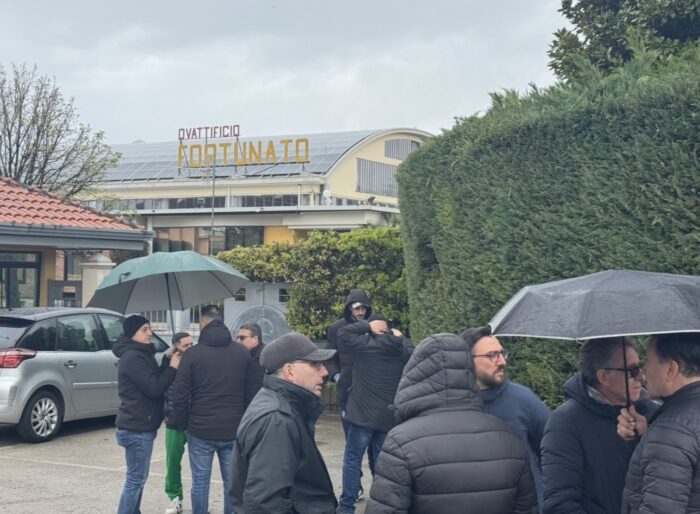 Morte Sul Lavoro, Il Dolore E La Rabbia Dei Colleghi Di Ciro 3