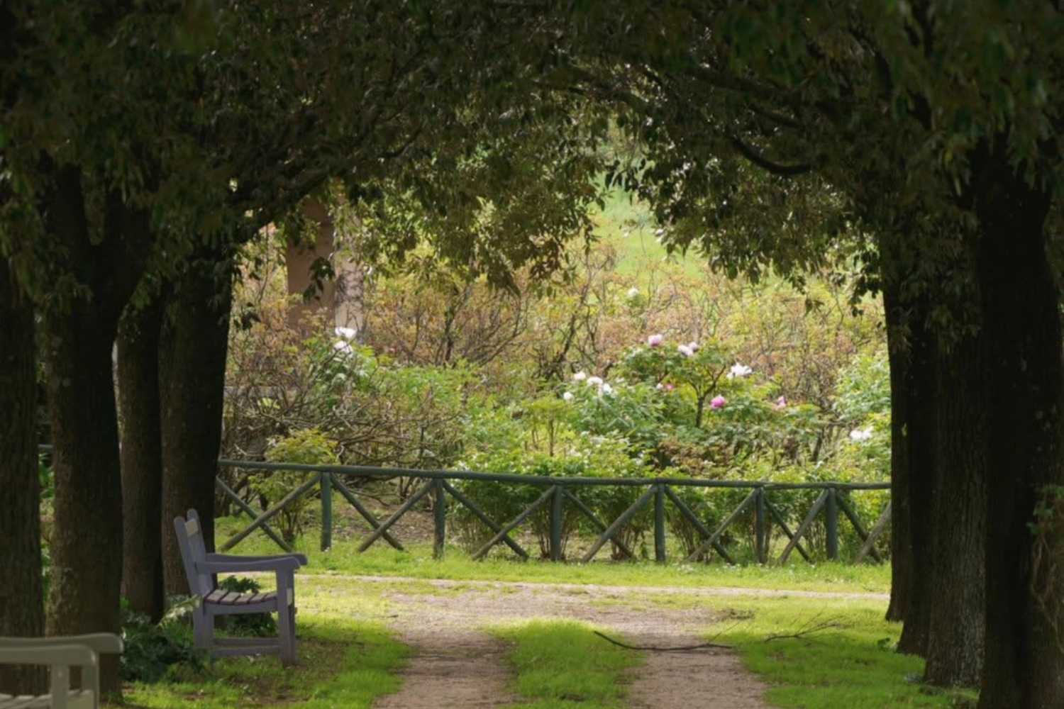 Riapre il giardino di peonie più affascinante d'Italia con 200.000 fiori (una meta imperdibile a breve distanza da Viterbo) 17
