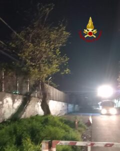 Salerno, Rami Di Un Albero Finiscono Sulla Linea Elettrica Della Metropolitana, Intervento Dei Vigili Del Fuoco 7