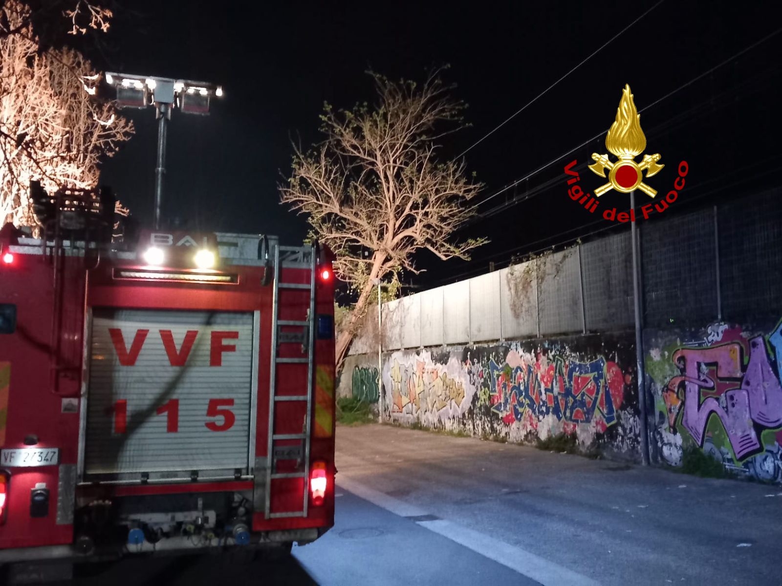 Salerno, Rami Di Un Albero Finiscono Sulla Linea Elettrica Della Metropolitana, Intervento Dei Vigili Del Fuoco 5