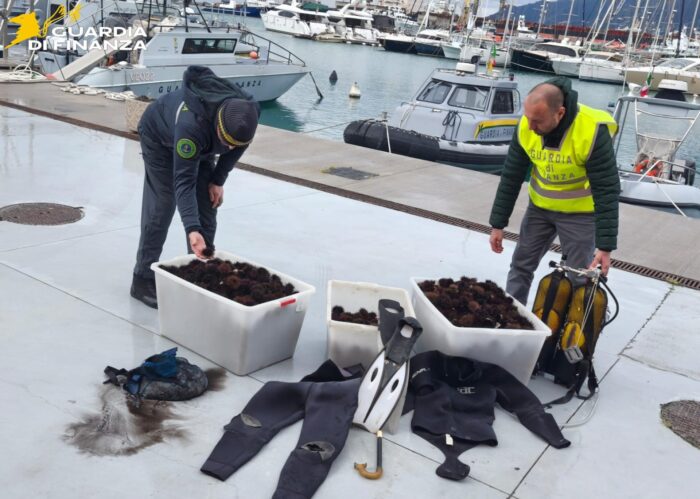 Sequestrati 2500 Ricci Di Mare In Localita’ Marina D’Arechi, Sanzionate Due Persone 3