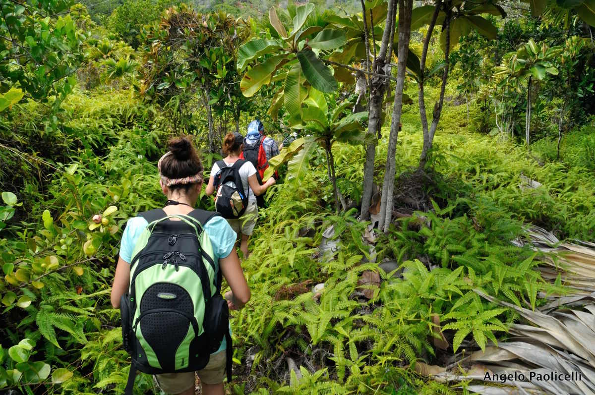 Seychelles: motivi per cui continuano a essere una delle destinazioni esotiche preferite dagli italiani (oltre alle spiagge) 3