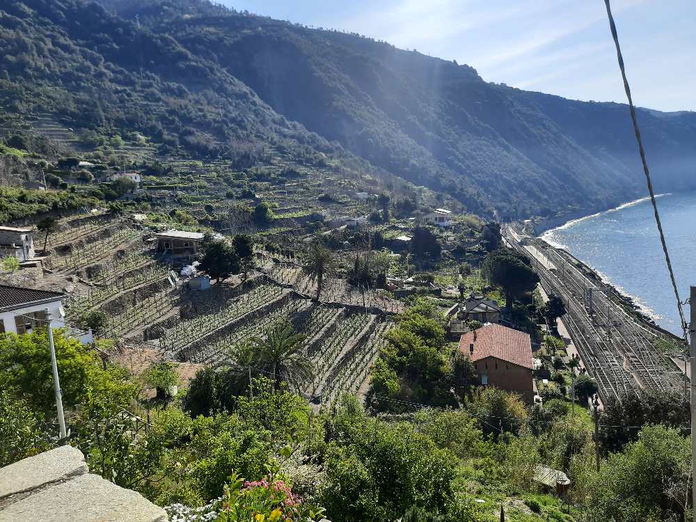 Suggerimenti per Pasqua: ecco il mio percorso di tre giorni alle Cinque Terre, con un'attrazione imperdibile finale. 33