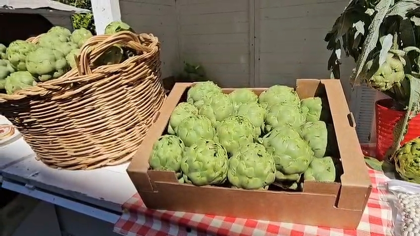Bianco Tanagro, Dal 30 Aprile Nuovi Eventi Ad Auletta 7