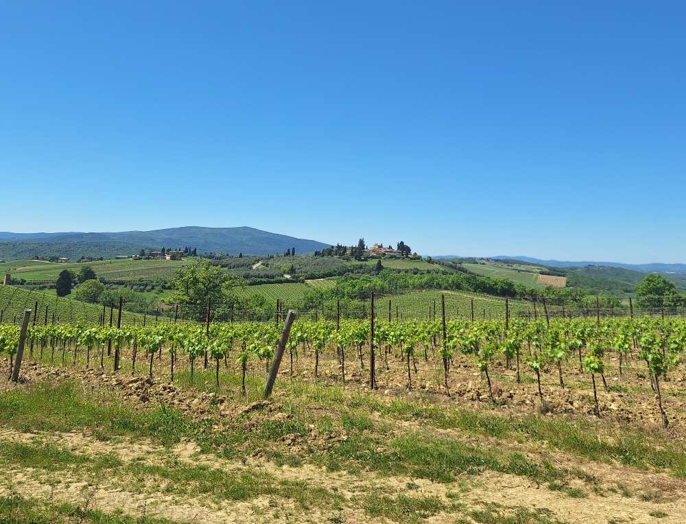 Cosa esplorare nel Chianti: un fine settimana rilassato tra paesi, vino e le storiche vie dell’Eroica. 35