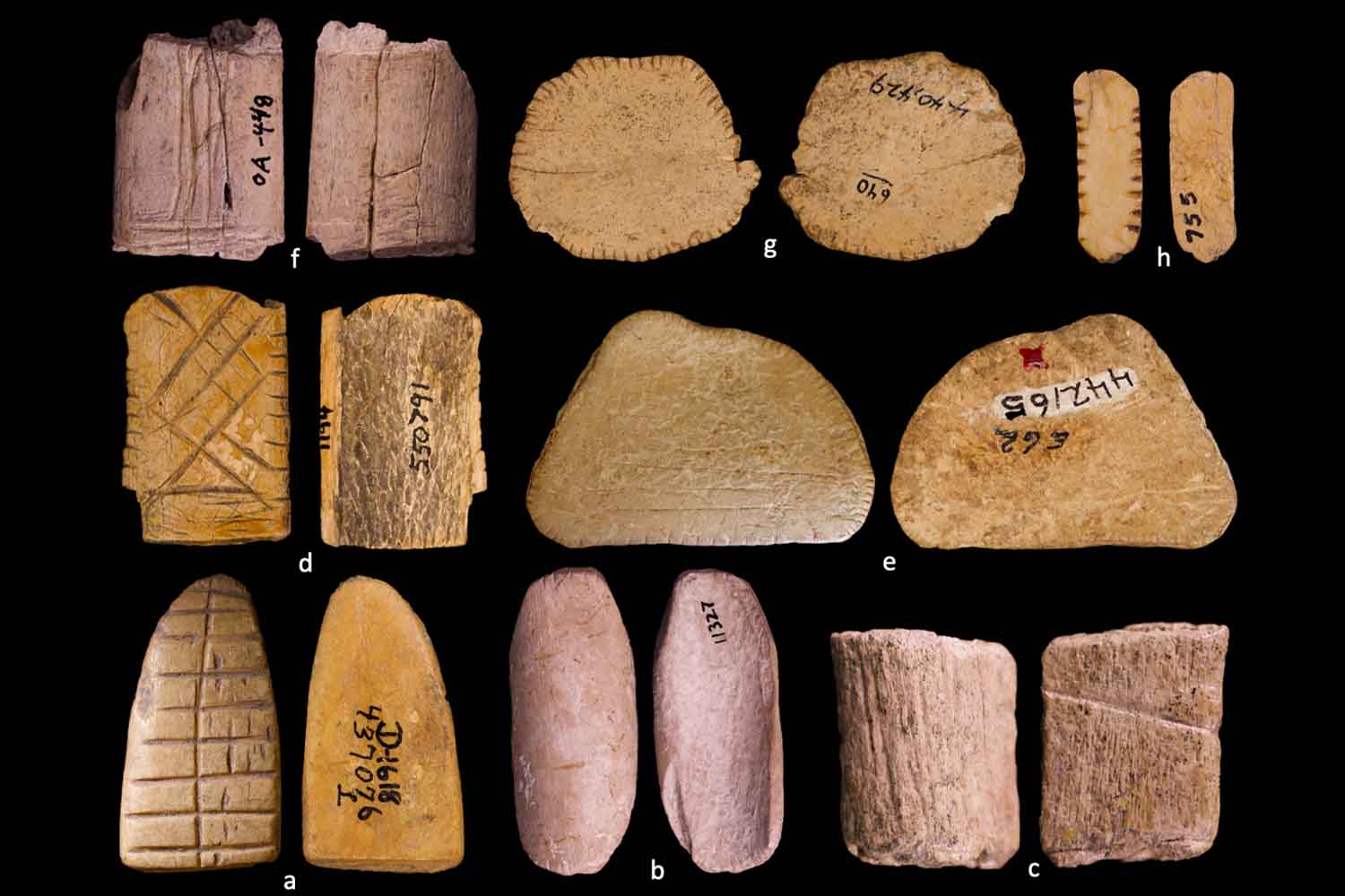Le radici del gioco d'azzardo? Risalgono all'ultima era glaciale! Trovati i dadi più antichi del pianeta, con caratteristiche molto diverse dai moderni. 3