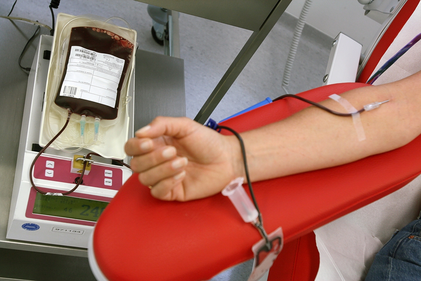 Ogni Dono È Un Nodo: Appello Alla Donazione Degli Studenti Del De Sanctis 3