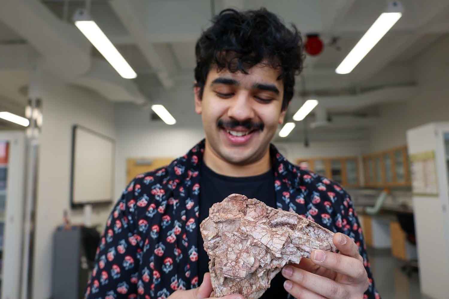 Ritrovato un cranio nascosto in un cassetto, si scopre che appartiene a un dinosauro carnivoro sconosciuto. 5