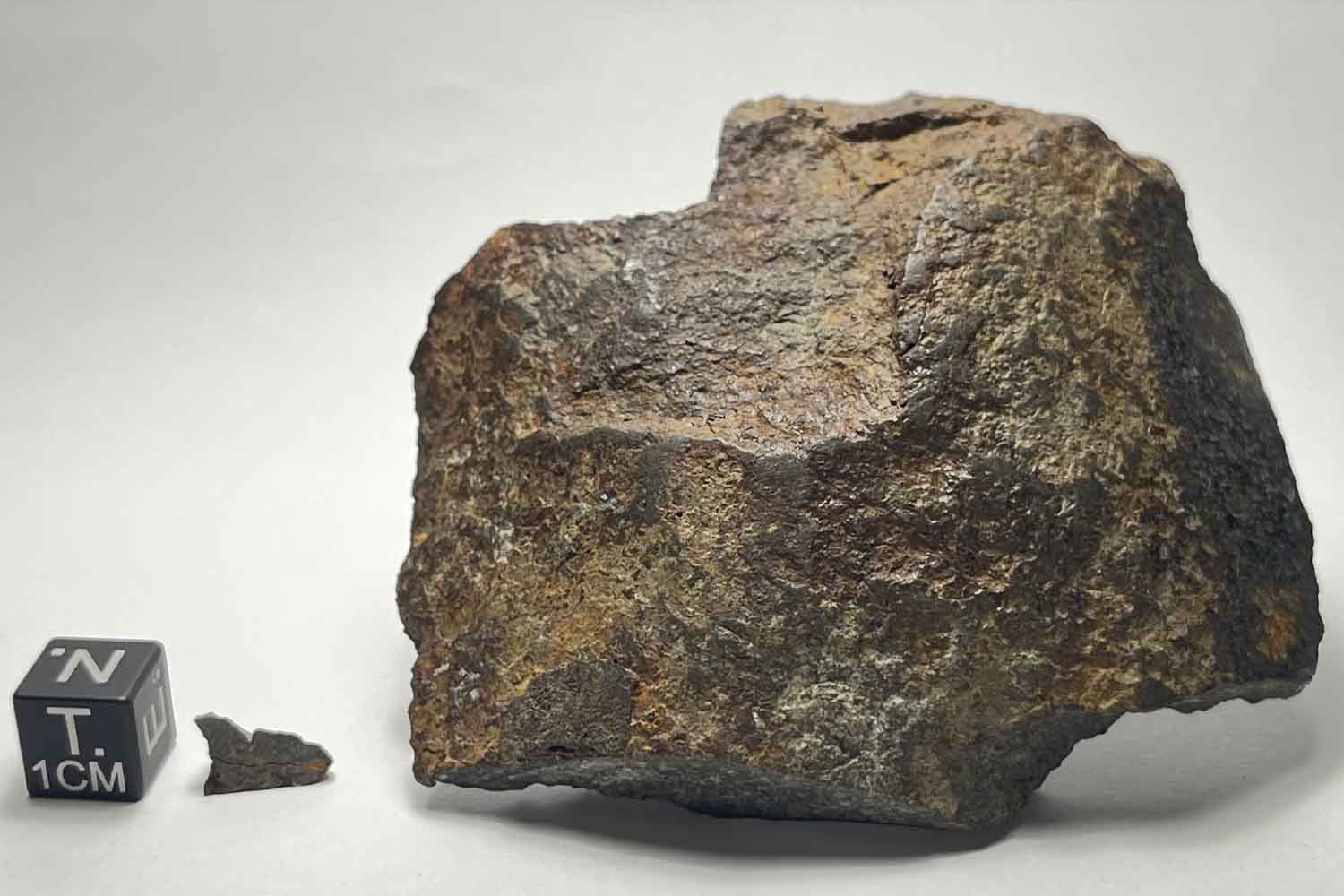 Smarrisce le chiavi nel bosco e scopre una meteorite di oltre 4,5 miliardi di anni: è la prima rinvenuta in Trentino. 3