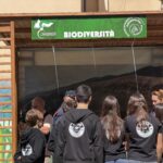 Un Albero Alla Memoria Che Sa Di Futuro 11