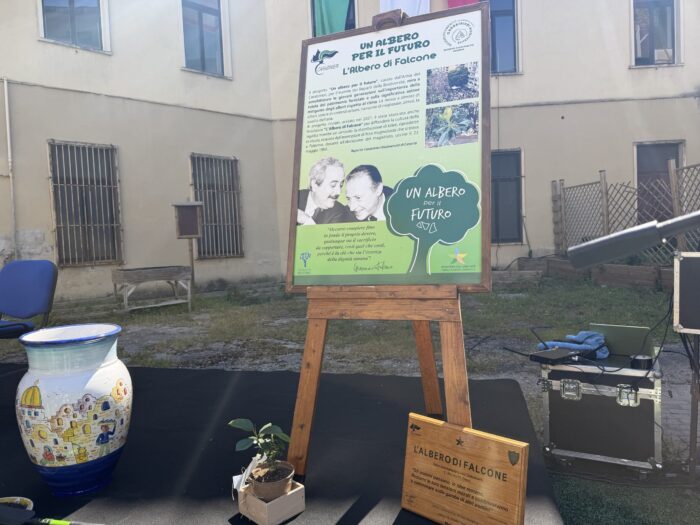 Un Albero Alla Memoria Che Sa Di Futuro 9