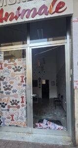 Vetrina Distrutta Da Mondo Animale, Ma Nessun Furto 9