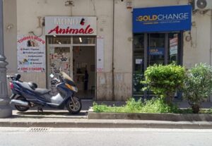 Vetrina Distrutta Da Mondo Animale, Ma Nessun Furto 11