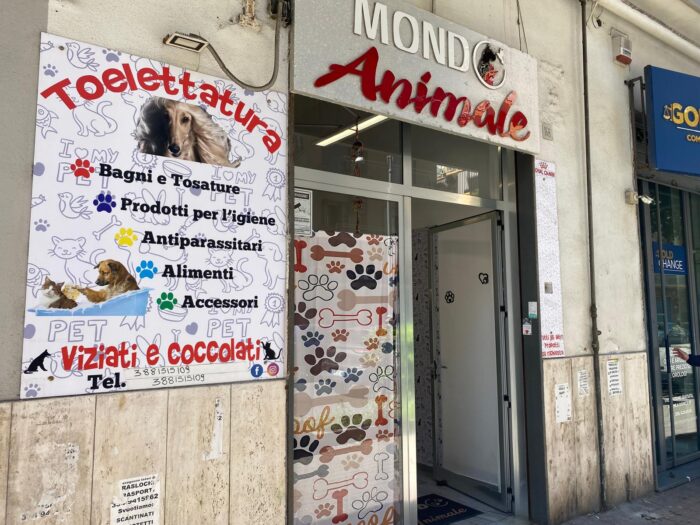 Vetrina Distrutta Da Mondo Animale, Ma Nessun Furto 7
