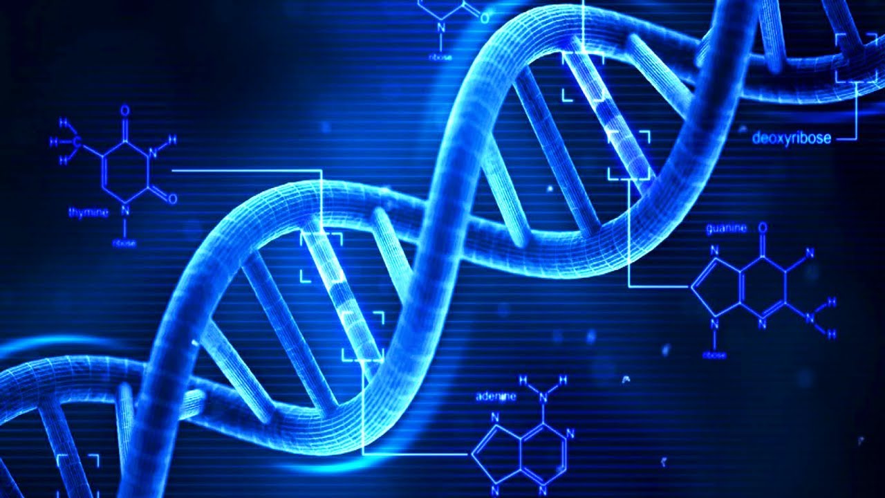 Anelli di Dna extracromosomico e l'aggressività dei tumori 2