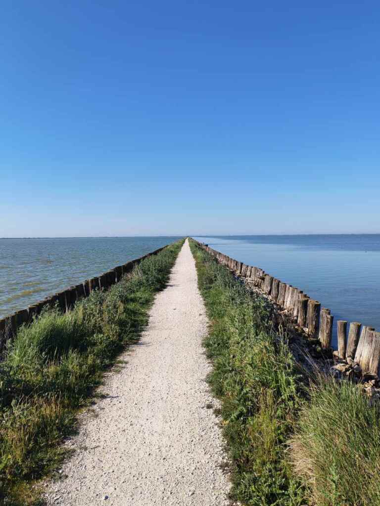 Argine degli Angeli: un'esperienza straordinaria di ciclismo sulla pista ciclabile che si estende tra acqua e cielo nel centro del Delta del Po. 23