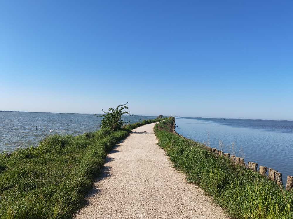 Argine degli Angeli: un'esperienza straordinaria di ciclismo sulla pista ciclabile che si estende tra acqua e cielo nel centro del Delta del Po. 21