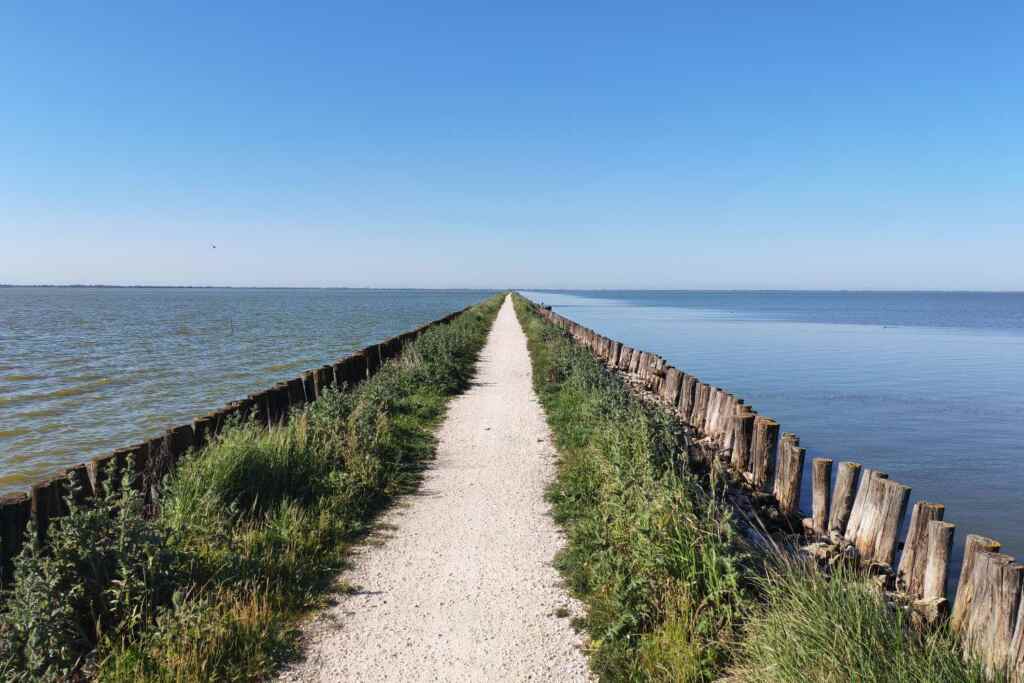 Argine degli Angeli: un'esperienza straordinaria di ciclismo sulla pista ciclabile che si estende tra acqua e cielo nel centro del Delta del Po. 13