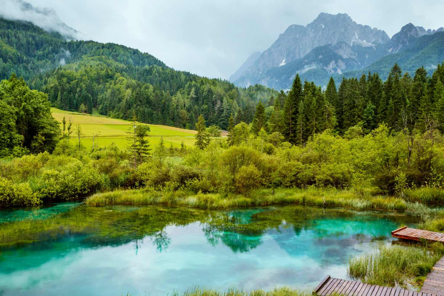 Cinque parchi europei meno noti da esplorare in primavera: presente un angolo d'Italia con cervi e cascate. 3