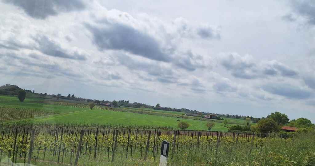 Colli Euganei: esplora i borghi medievali imperdibili a breve distanza da Padova. 21