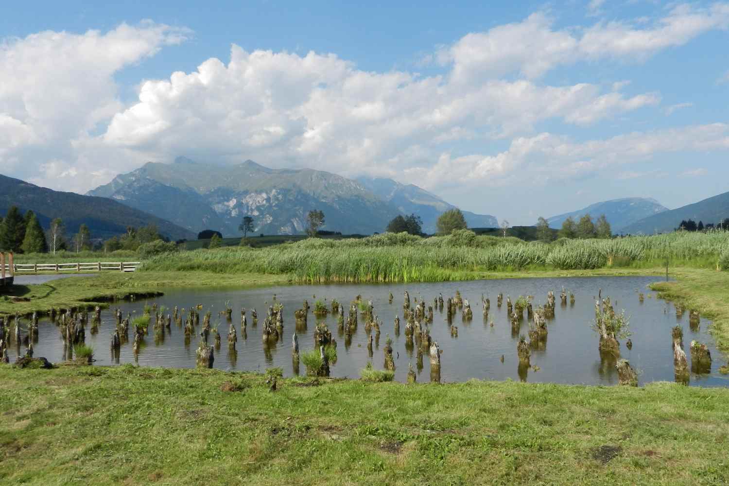 Esiste un insediamento su palafitte celato in Trentino, dove è possibile immergersi nella preistoria. 5