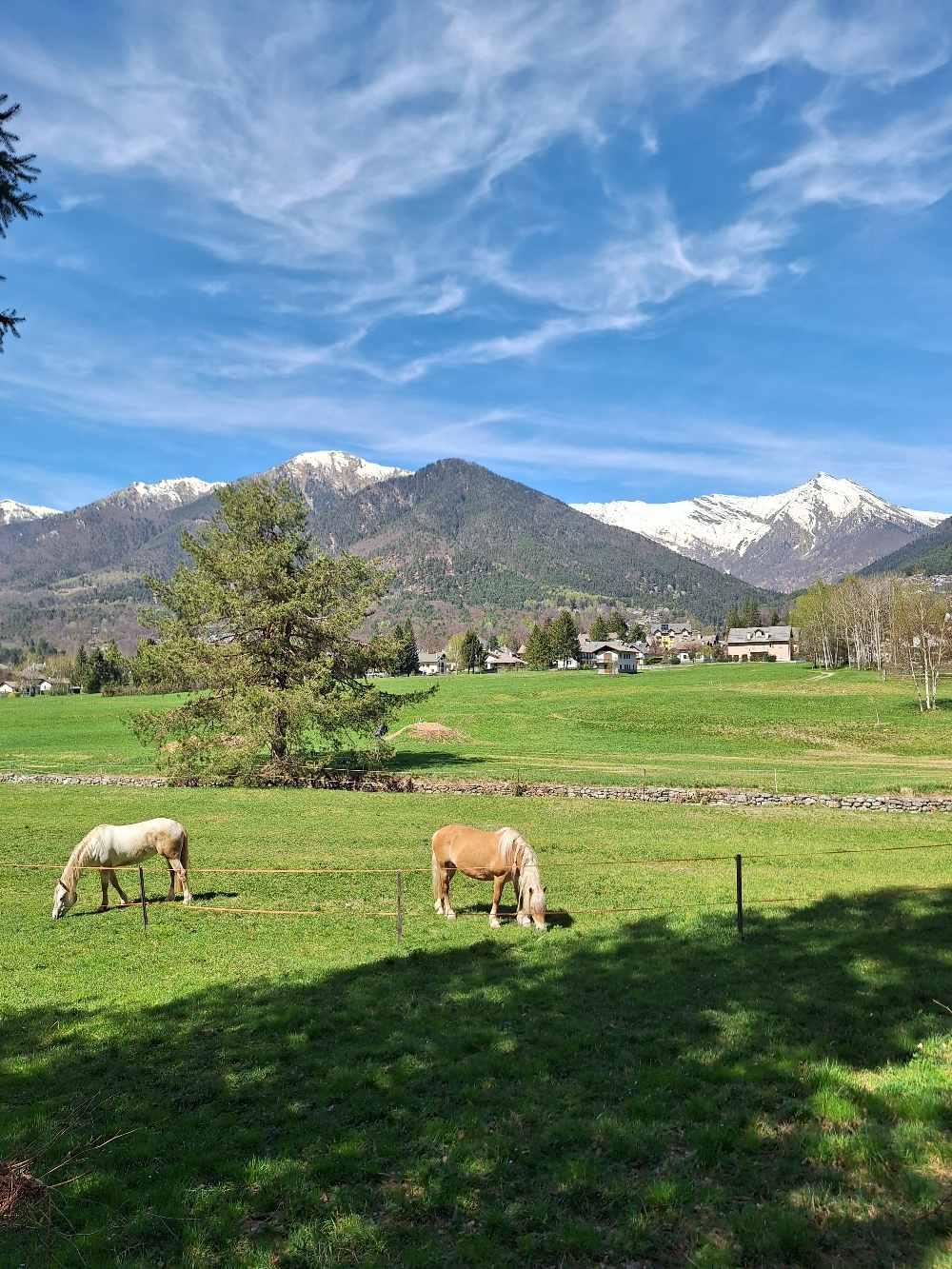 Ho percorso in bicicletta la pista ciclabile Druogno–Re esplorando la splendida Val Vigezzo, caratterizzata da cascate spettacolari, boschi e luoghi di culto. 19