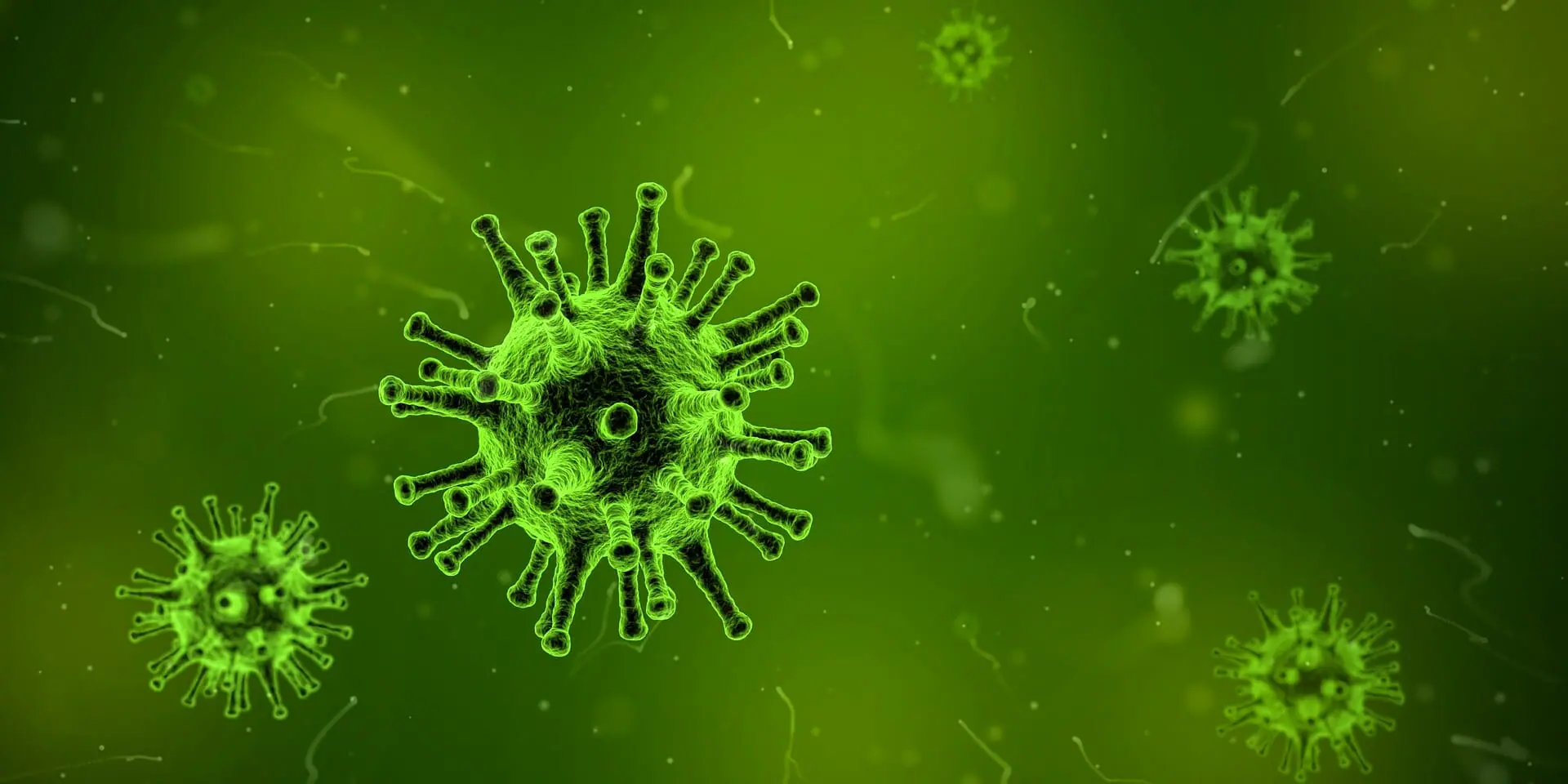 L'esercitazione Polaris II, preparandosi al prossimo virus 2