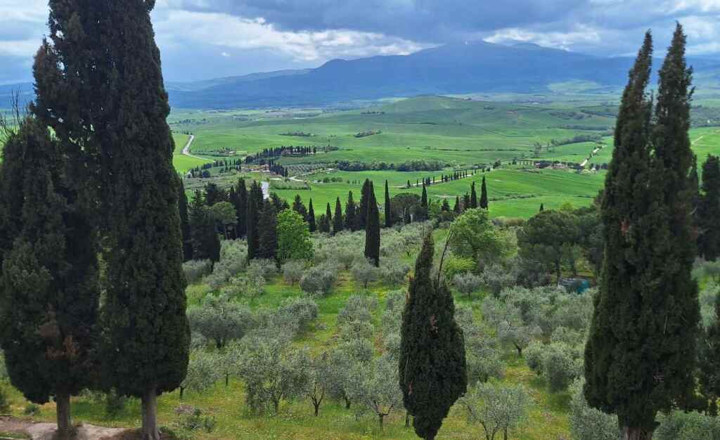 Oltre a Montalcino e Montepulciano, esploriamo la Val d'Orcia meno nota, tra incantevoli borghi e sorgenti termali naturali. 23